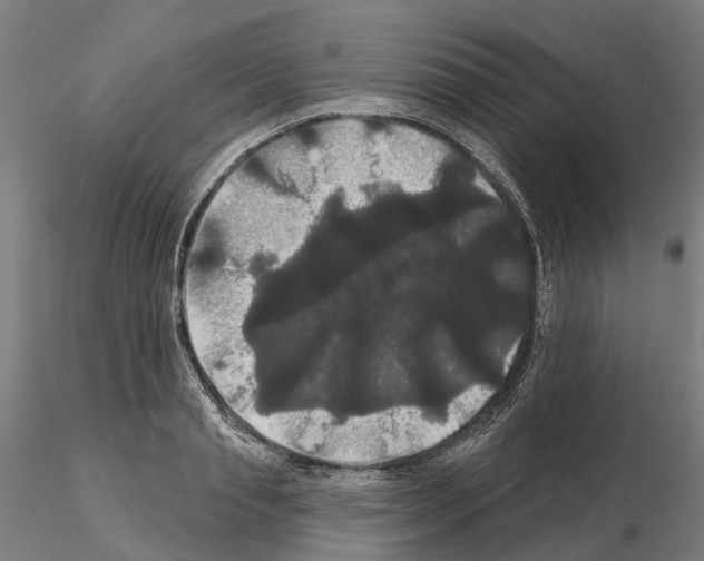 X0000114720845200912021153