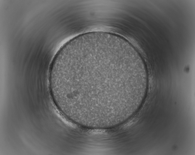 X0000114720846200912021153