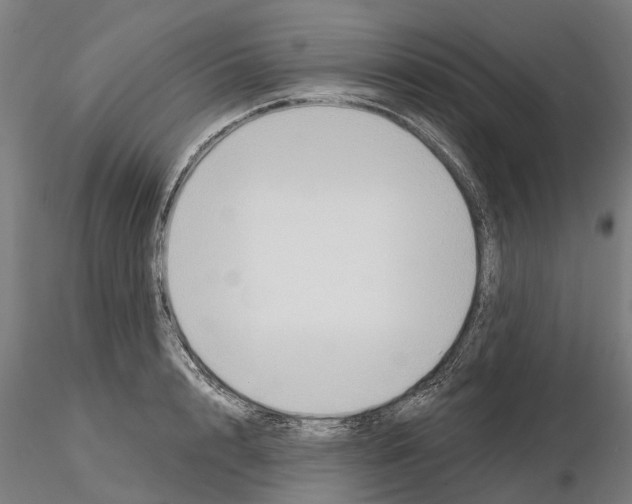 X0000114720848200912021153