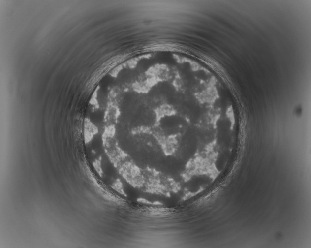 X0000114720849200912021153