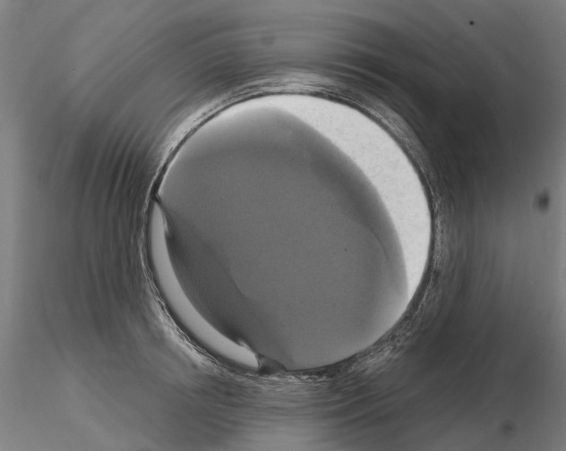 X0000114720850200912021153