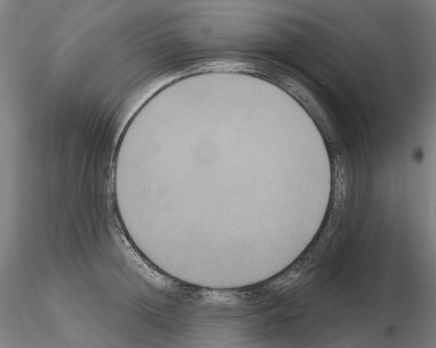 X0000114720852200912021153