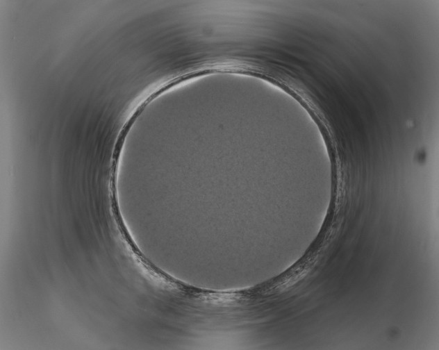 X0000114720853200912021153