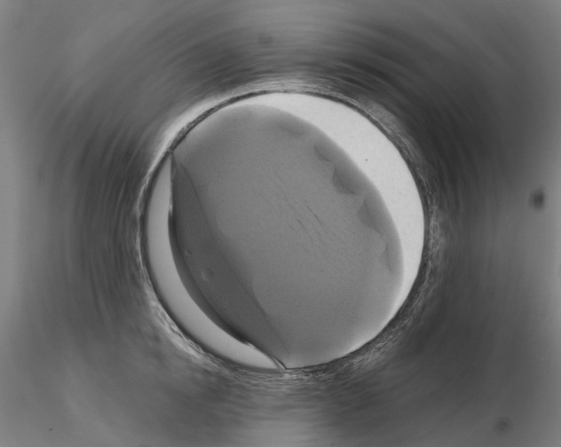 X0000114720854200912021153