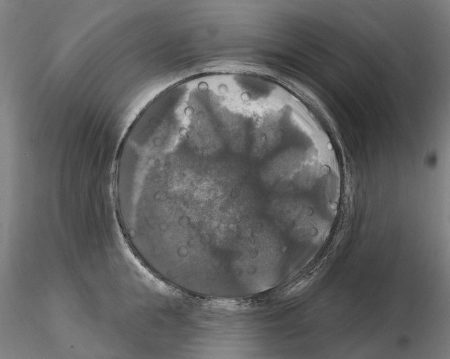 X0000114720855200912021153