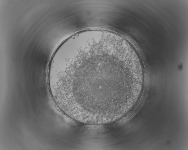 X0000114720856200912021153