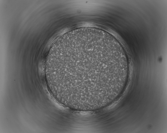 X0000114720857200912021153