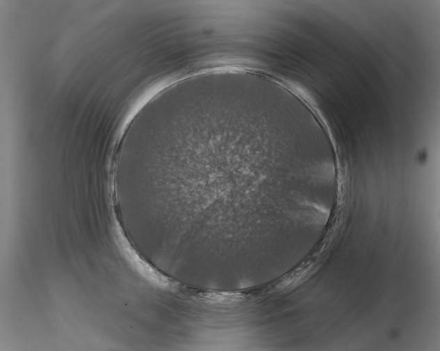 X0000114720859200912021153