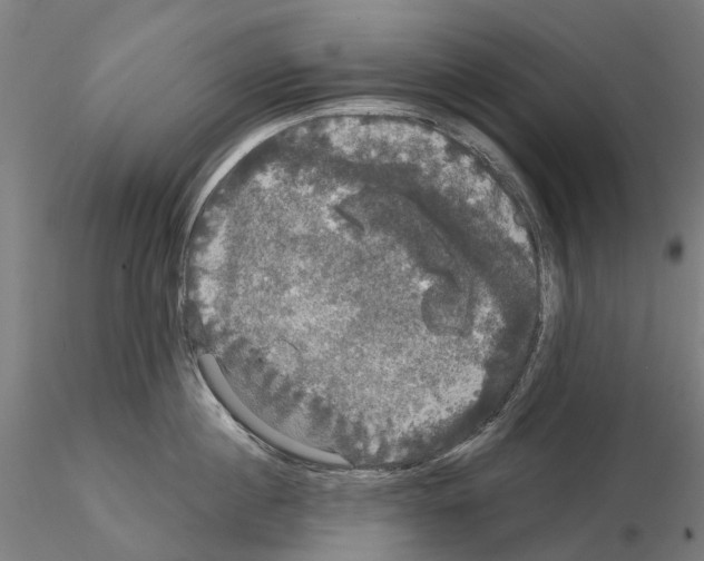 X0000114720860200912021153