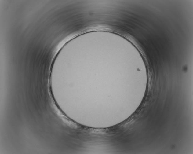 X0000114720861200912021153