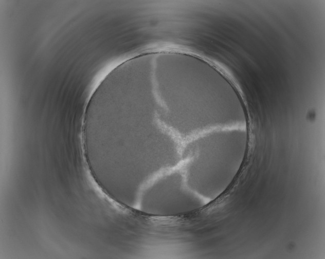 X0000114720863200912021153