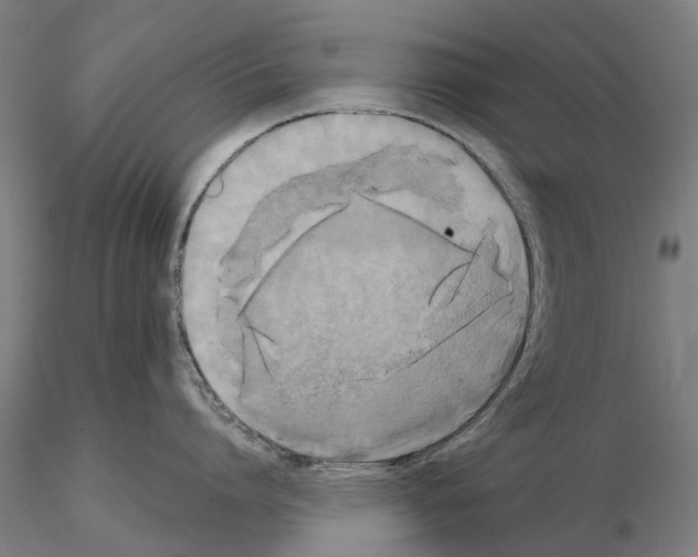 X0000114720864200912021153