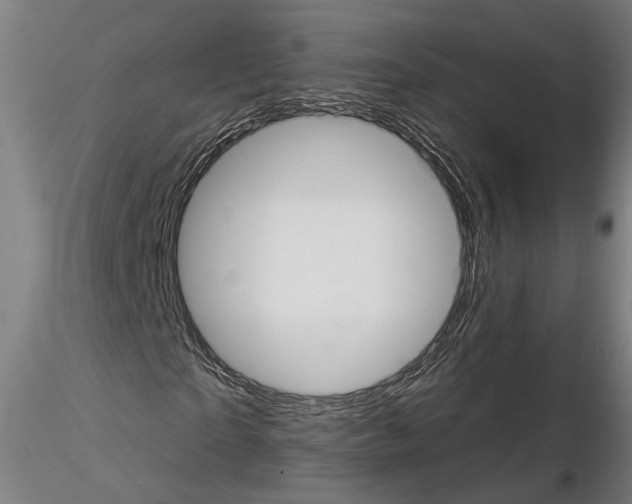 X0000114720865200912021152