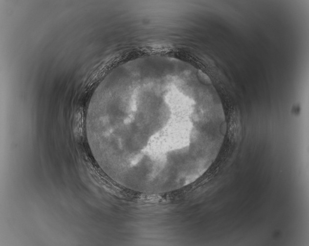 X0000114720866200912021152