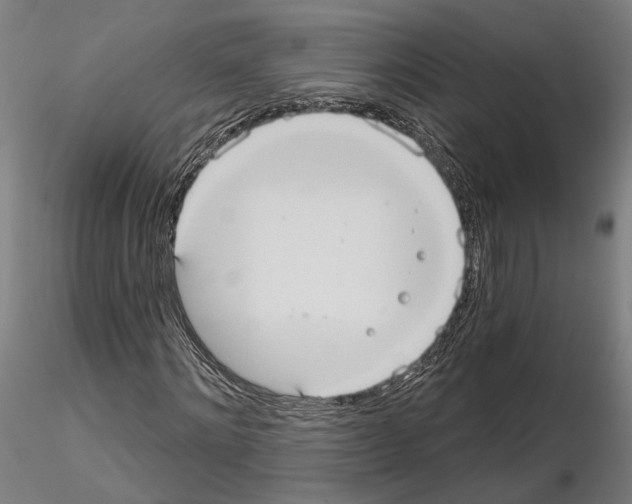 X0000114720868200912021152