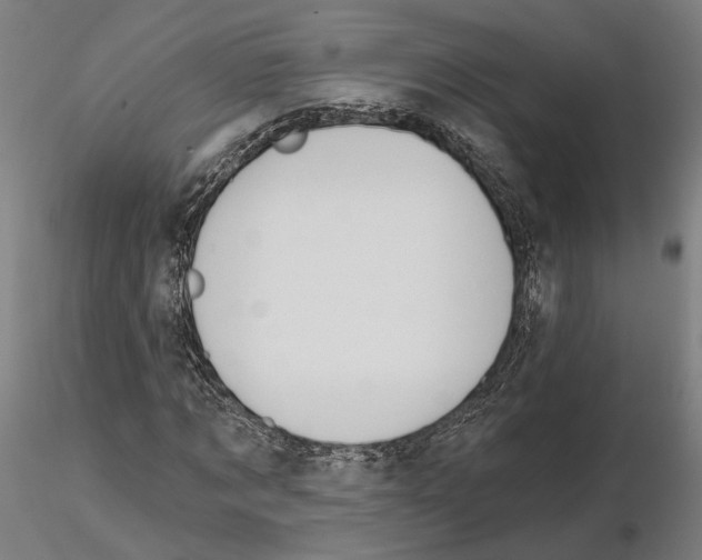 X0000114720869200912021152