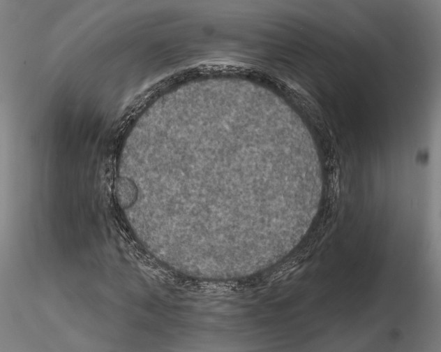 X0000114720870200912021152