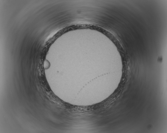 X0000114720871200912021152