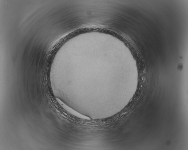 X0000114720872200912021152