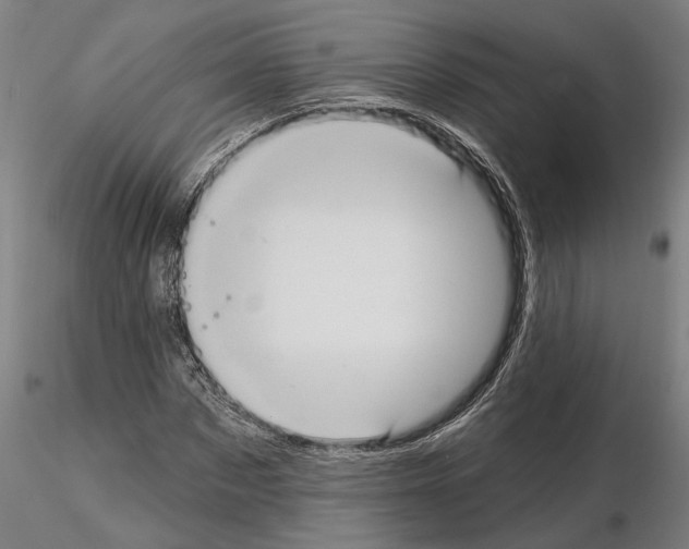 X0000114720873200912021152