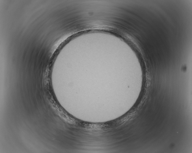 X0000114720875200912021152