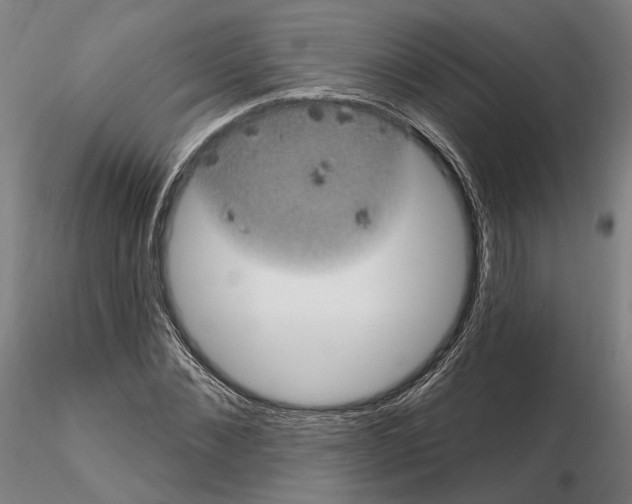 X0000114720876200912021152