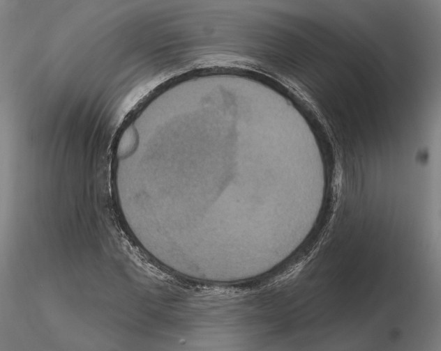 X0000114720877200912021152