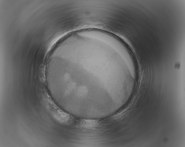 X0000114720878200912021152