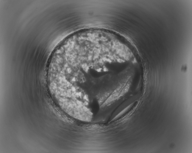 X0000114720879200912021152