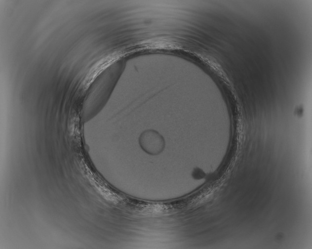 X0000114720881200912021152