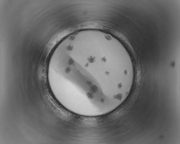 X0000114720882200912021152