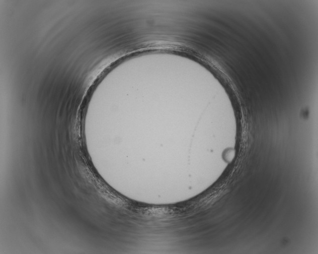 X0000114720883200912021152