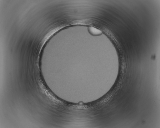 X0000114720884200912021152