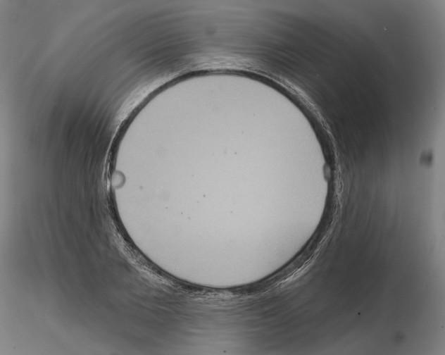 X0000114720885200912021152