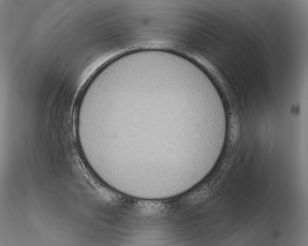 X0000114720886200912021152