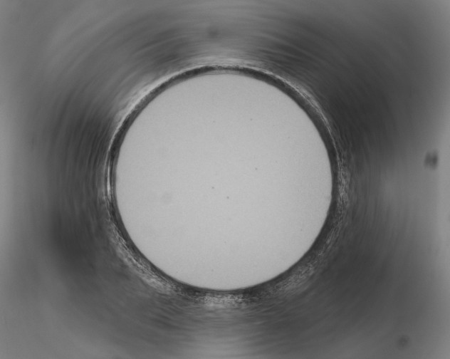 X0000114720887200912021152