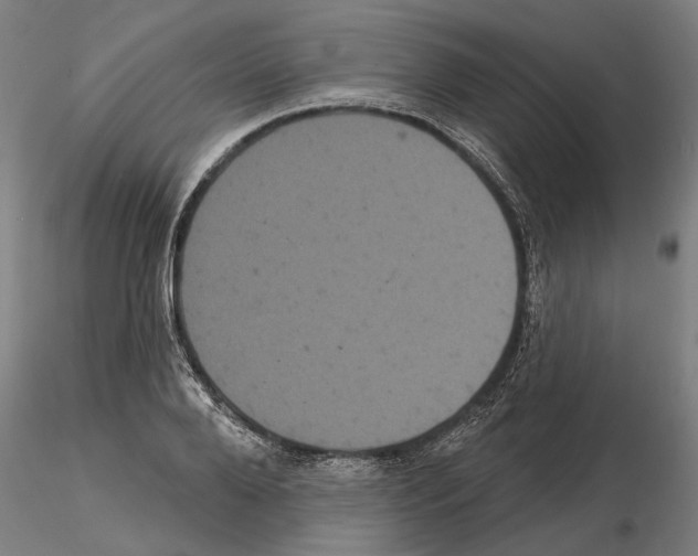 X0000114720888200912021152