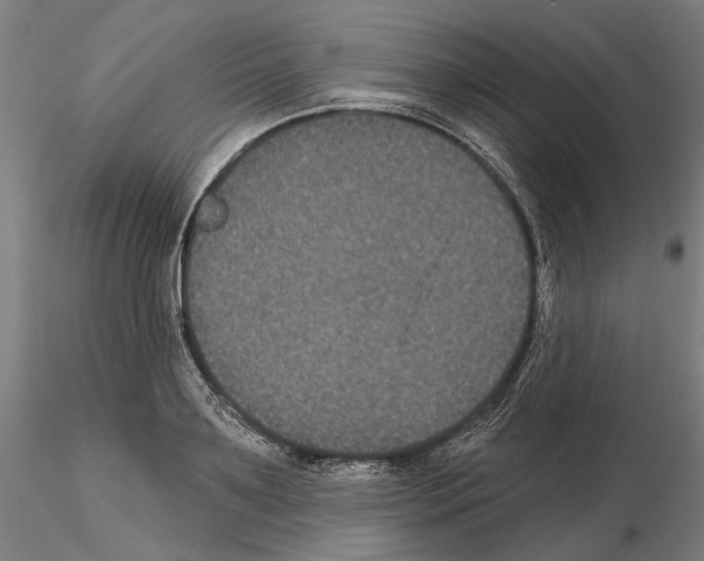 X0000114720891200912021152