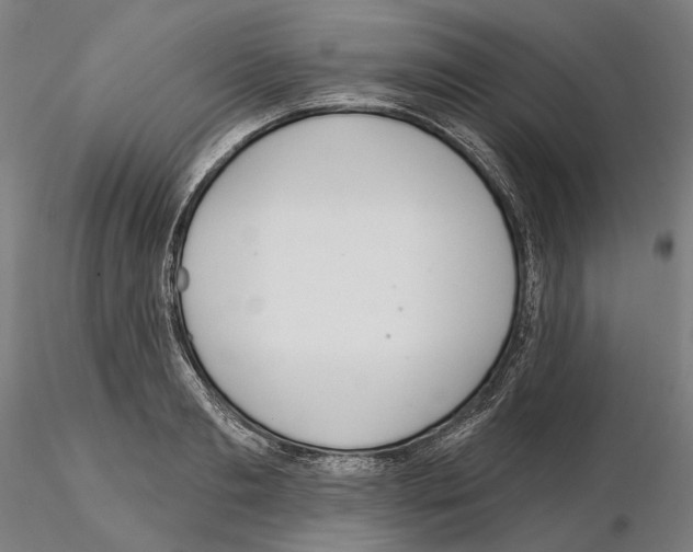 X0000114720893200912021152