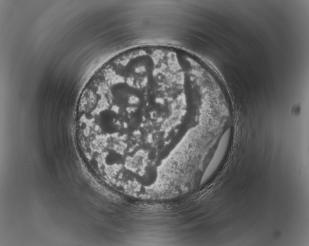 X0000114720895200912021152