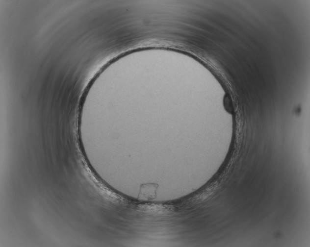 X0000114720896200912021152