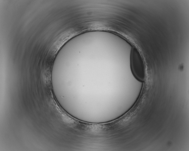 X0000114720897200912021152