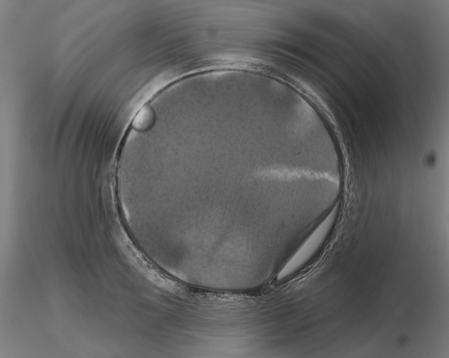 X0000114720899200912021152