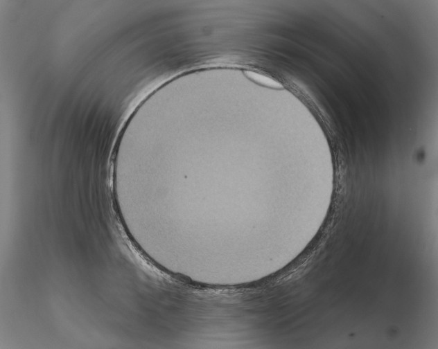 X0000114720900200912021152