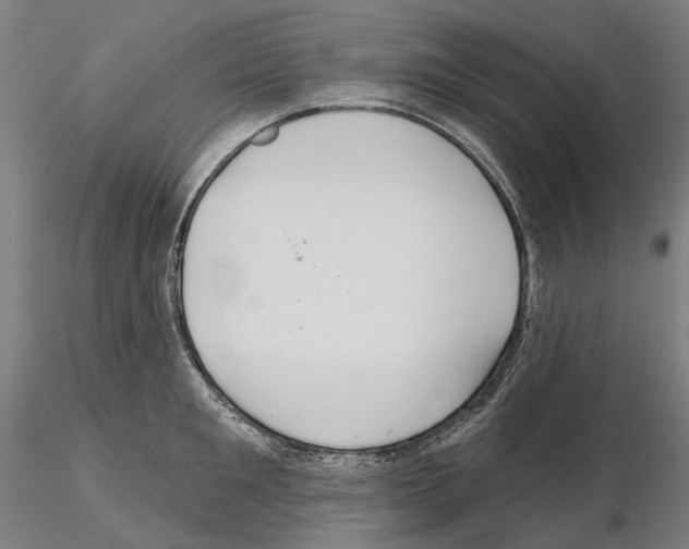 X0000114720901200912021152