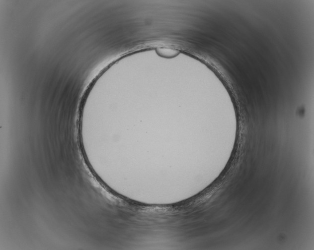 X0000114720902200912021152