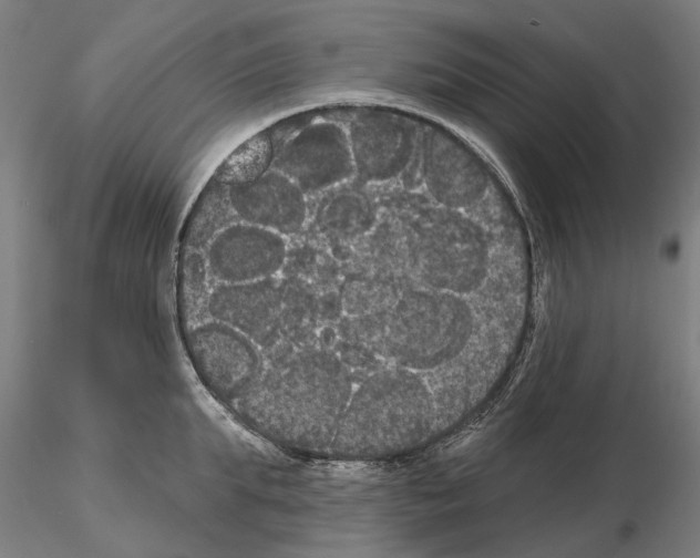 X0000114720903200912021152