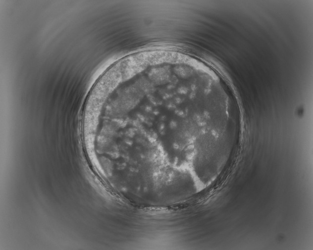 X0000114720907200912021152