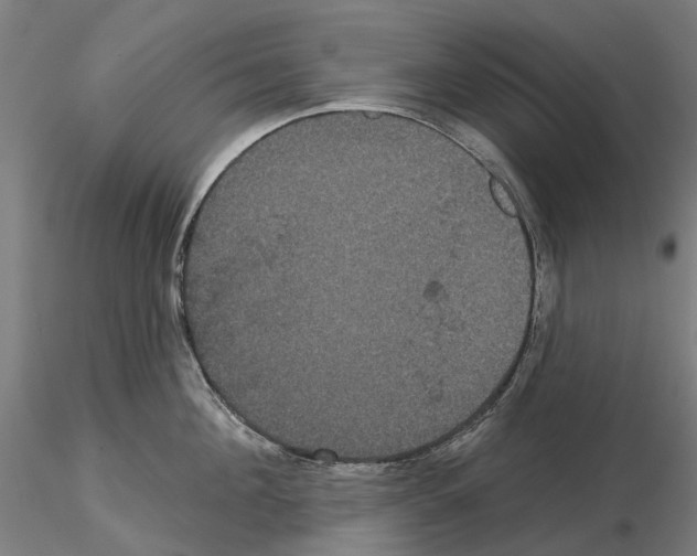 X0000114720908200912021151