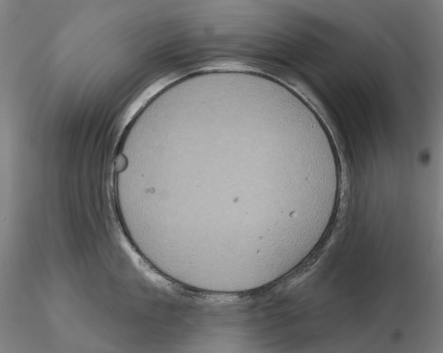 X0000114720909200912021151